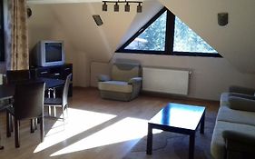 Mihai Ski Apartment